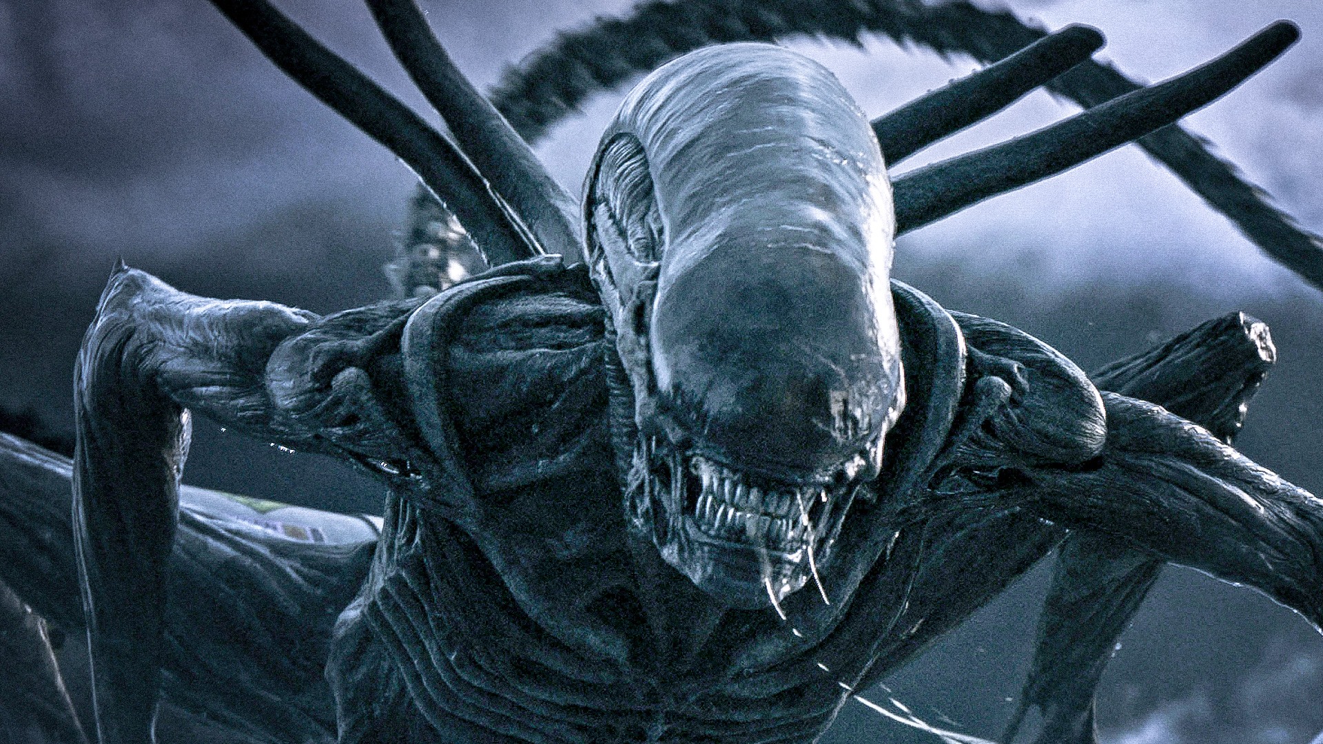 Stjärnan om Alien: Romulus: ”Utspelar sig mellan första och andra filmen”
