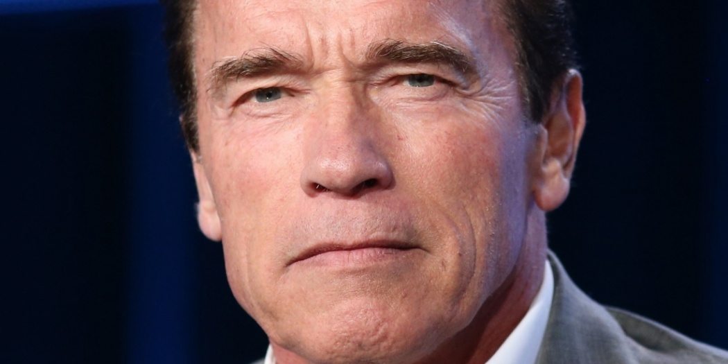 Bild på Arnold Schwarzenegger.