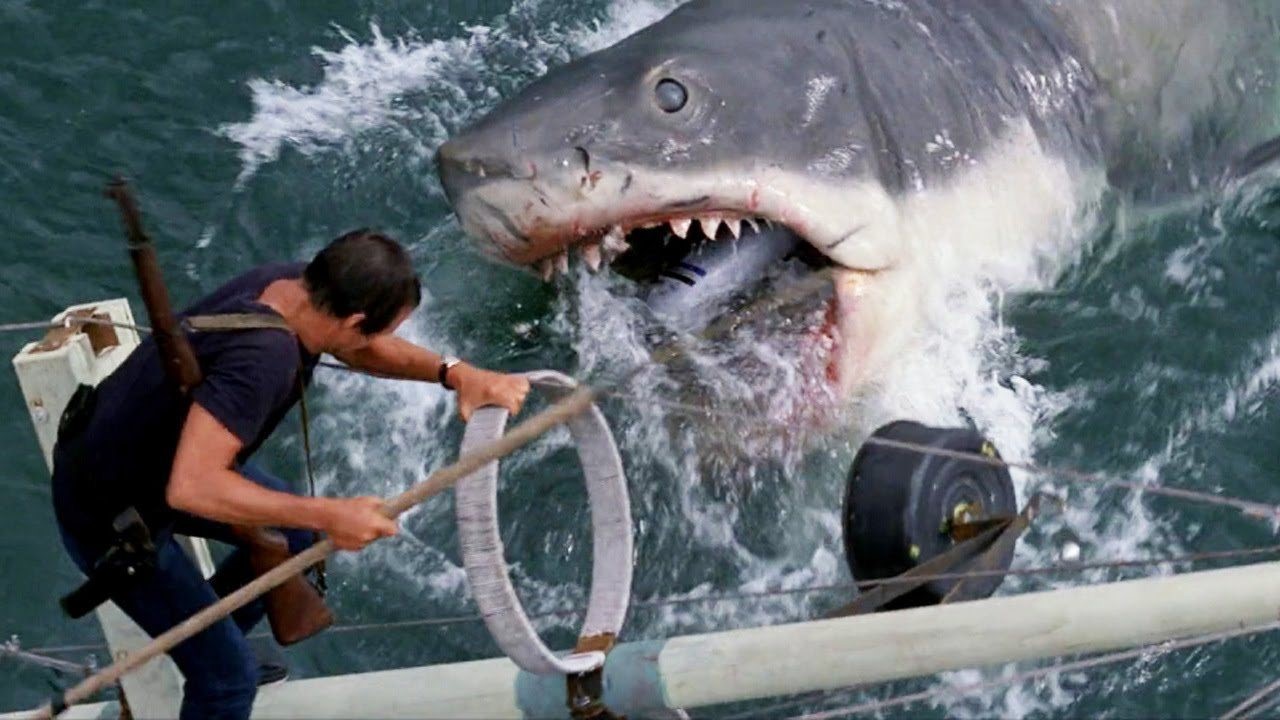 Hajen – En av de bästa filmerna på Amazon