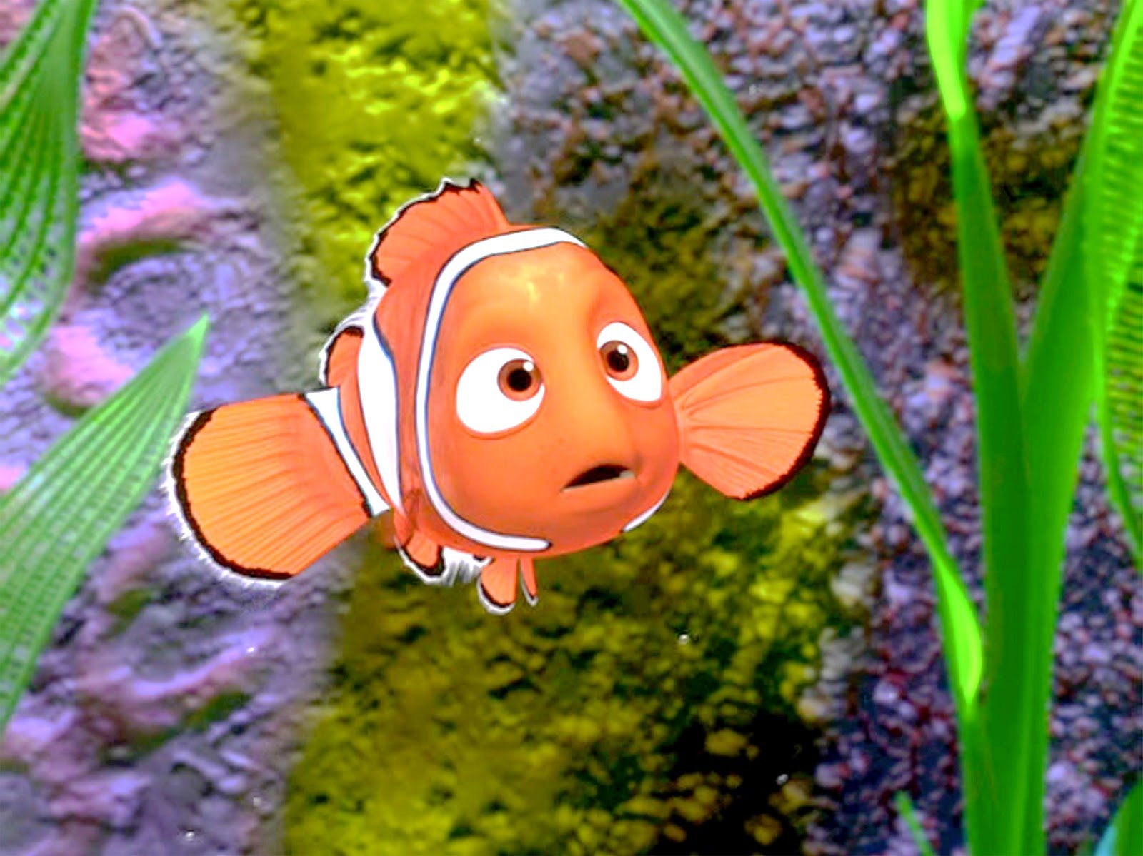 Hitta Nemo - disneyklassiker