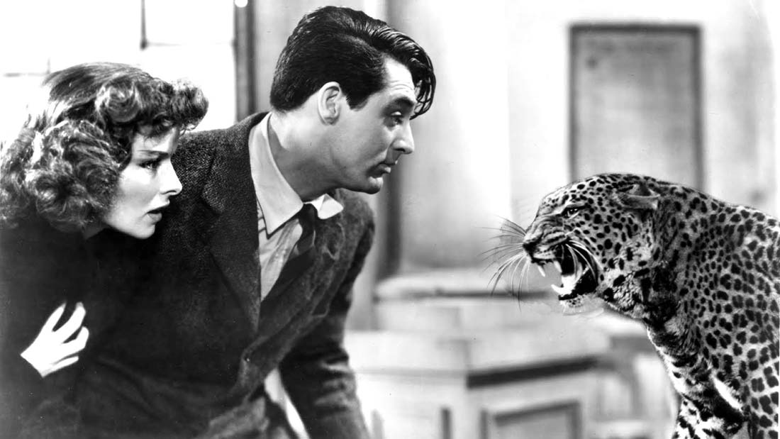 Cary Grant och Katharine Hepburn möter en leopard i "Ingen fara på taket"