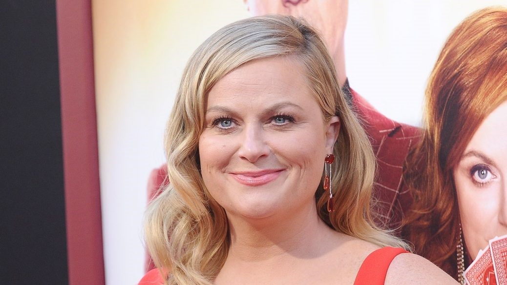 En bild på skådespelaren Amy Poehler