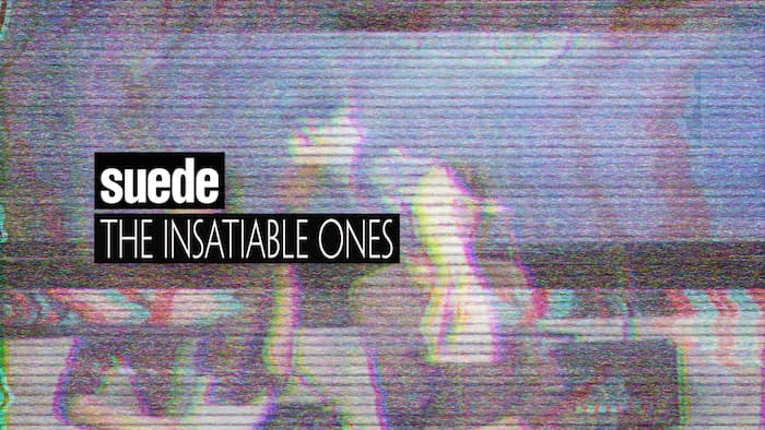 Suede: The Insatiable Ones, som visas under Way Out West 2019