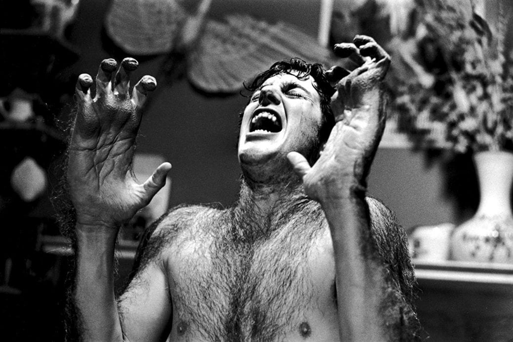 Varuvlven är ett av världens mest ikoniska skräckmonster. Bild från filmen An American Werewolf in London.