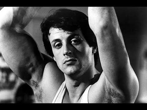 En ung stallone