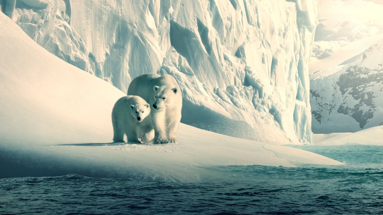Serietips på Netflix – se Our Planet!