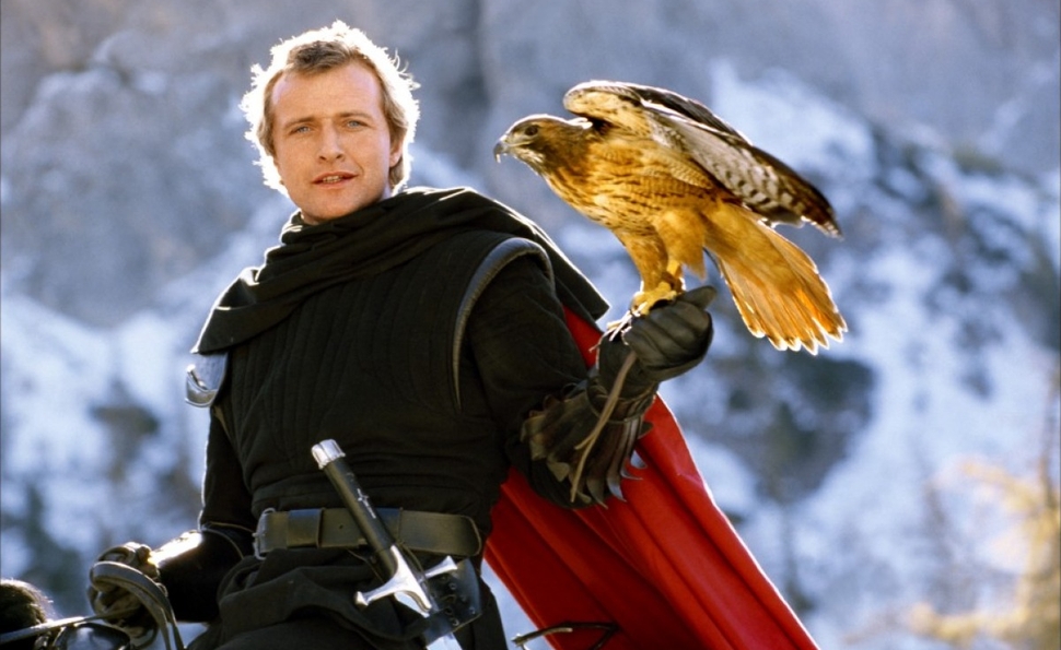 Ladyhawk