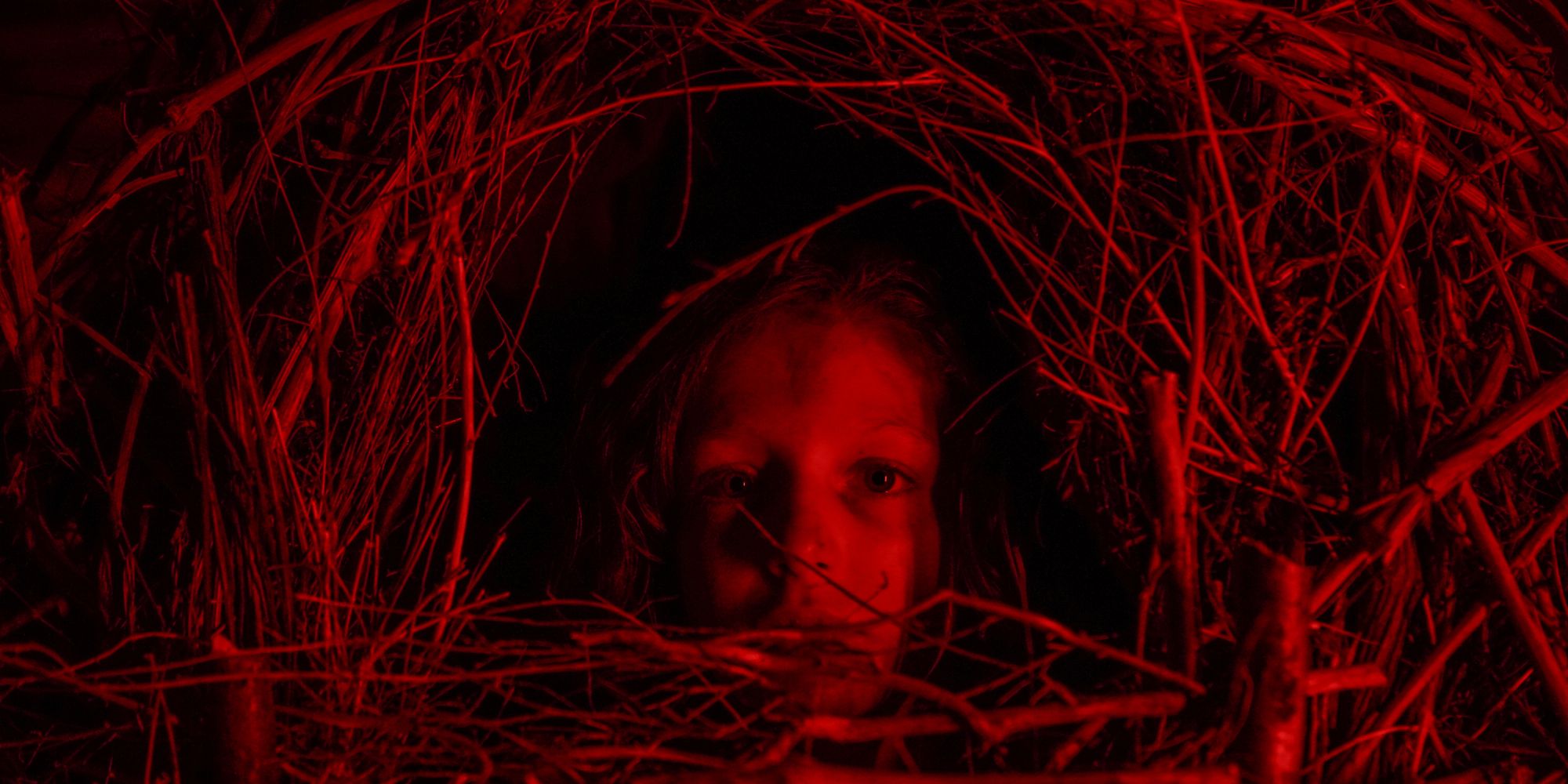 Bland nya filmer att streama hittar vi "A Classic Horror Story".