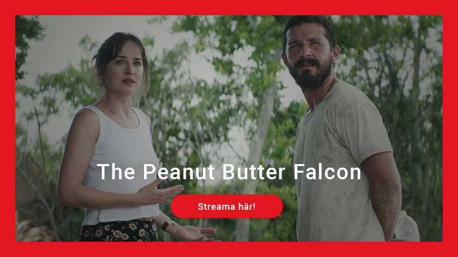 The Peanut Butter Falcon