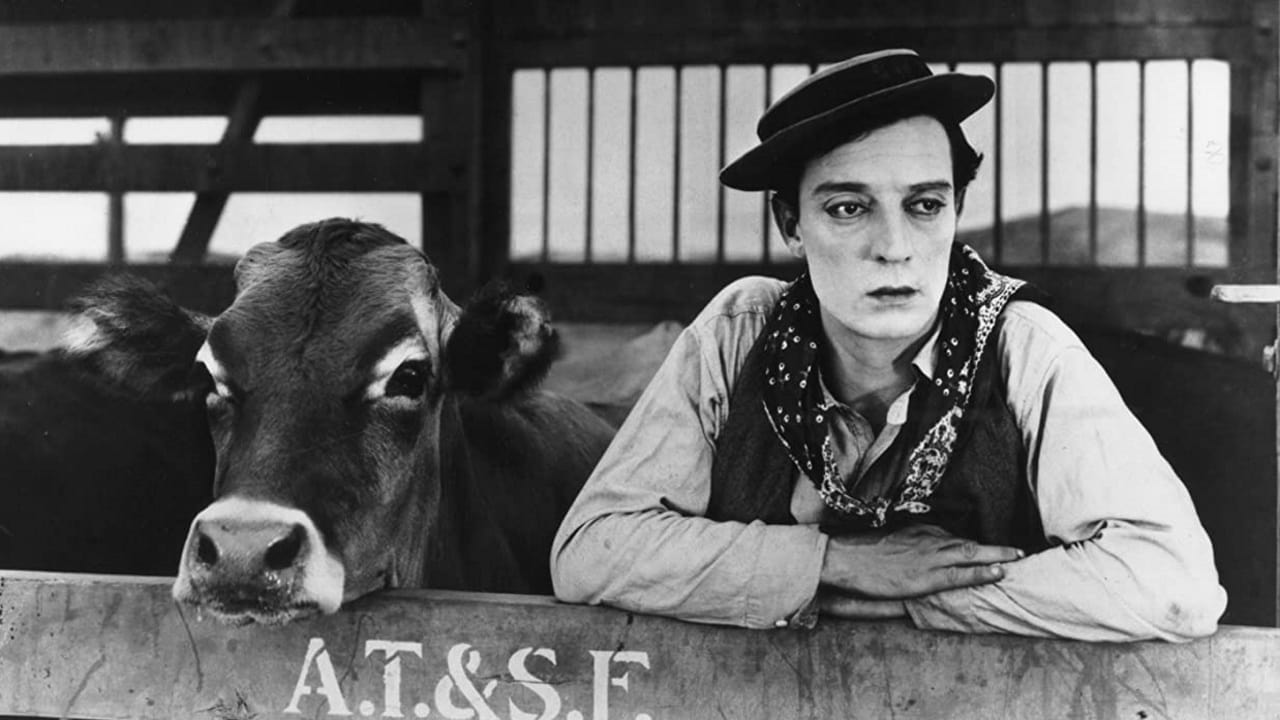 Buster Keaton – Kofösaren/Go West