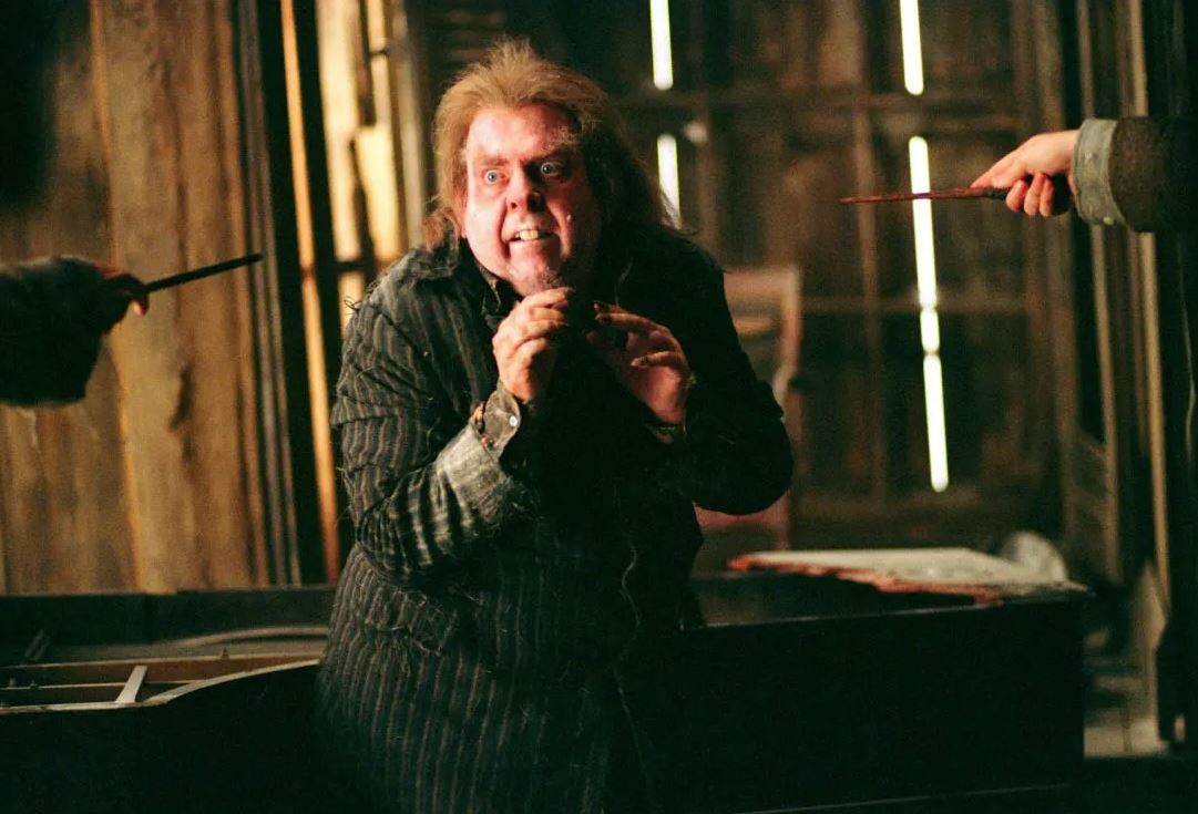 Peter Pettigrew i Harry Potter Foto: Warner Bros