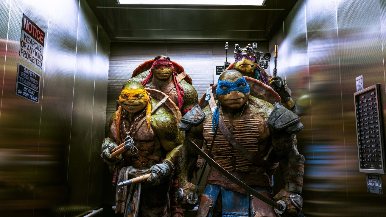Turtles 2014