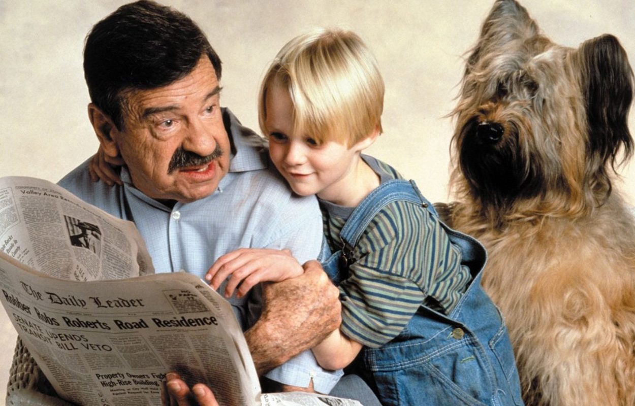 Dennis the Menace (1993)