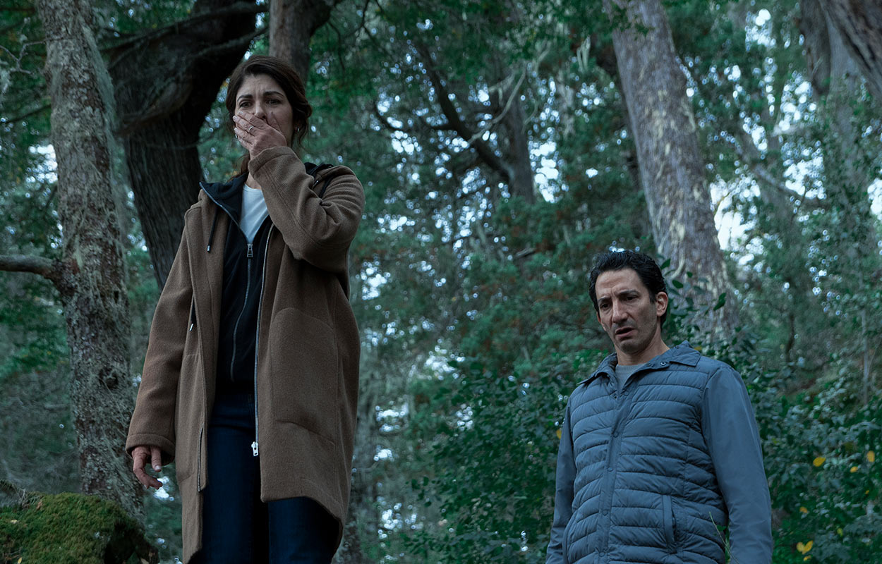 I veckan släpps ny Harlan Coben-thriller på Netflix – journalist avslöjar brott