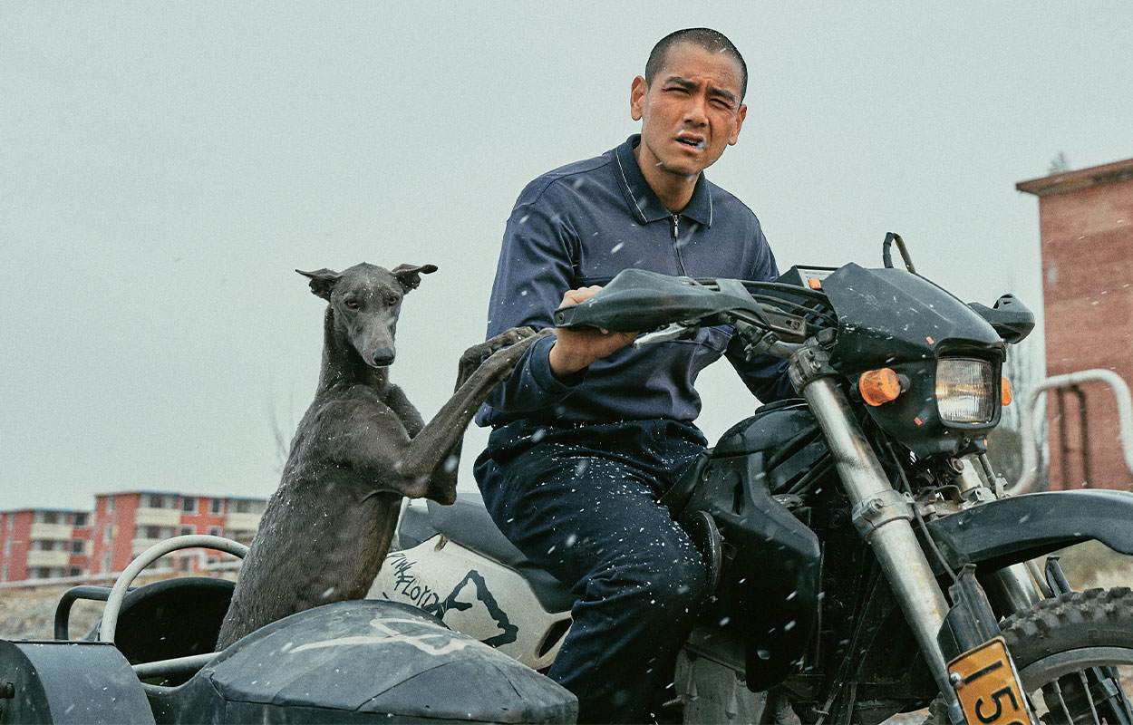 Recencion: Black Dog (2025) – ”fantastiskt fint” om människans bästa vän