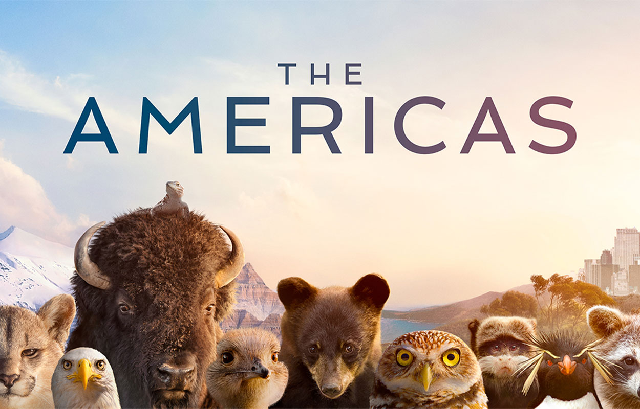 The Americas