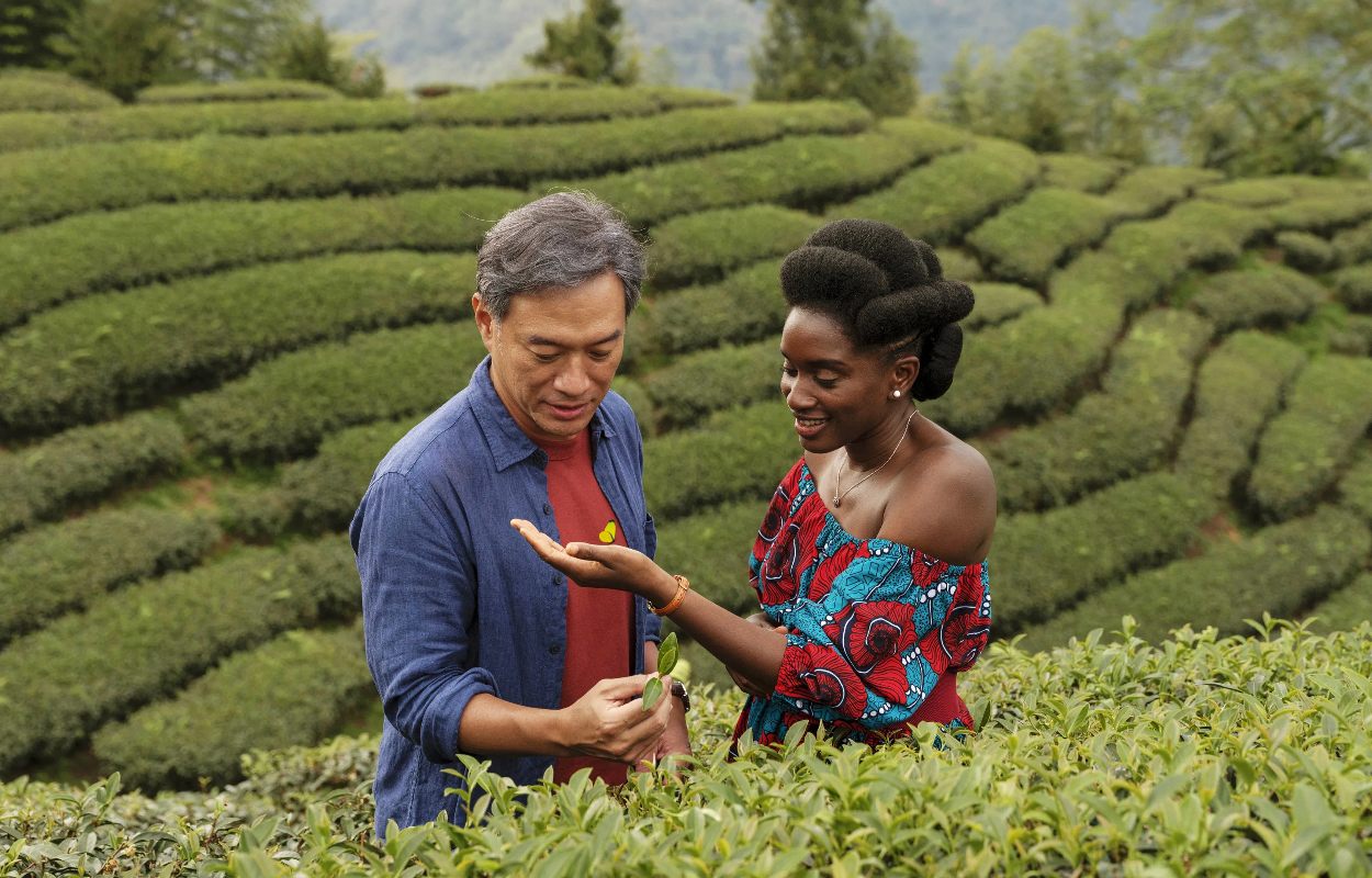 Black Tea (2024)