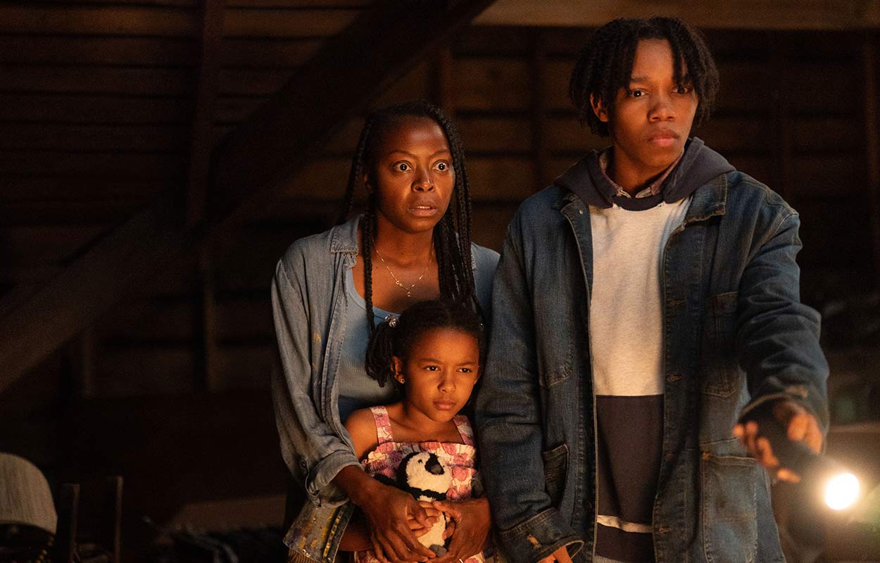 The Woman in the Yard.