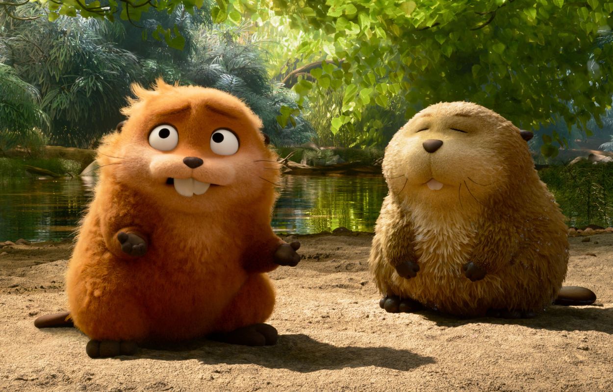 Operation B&auml;ver