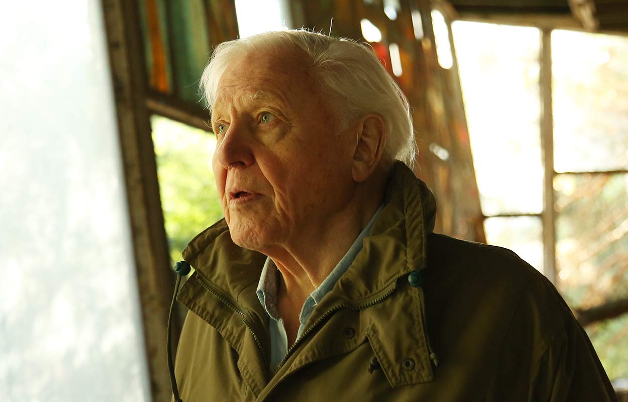David Attenborough bes&ouml;ker Tjernobyl i &rdquo;David Attenborough: Life on Our Planet&rdquo; (2020).